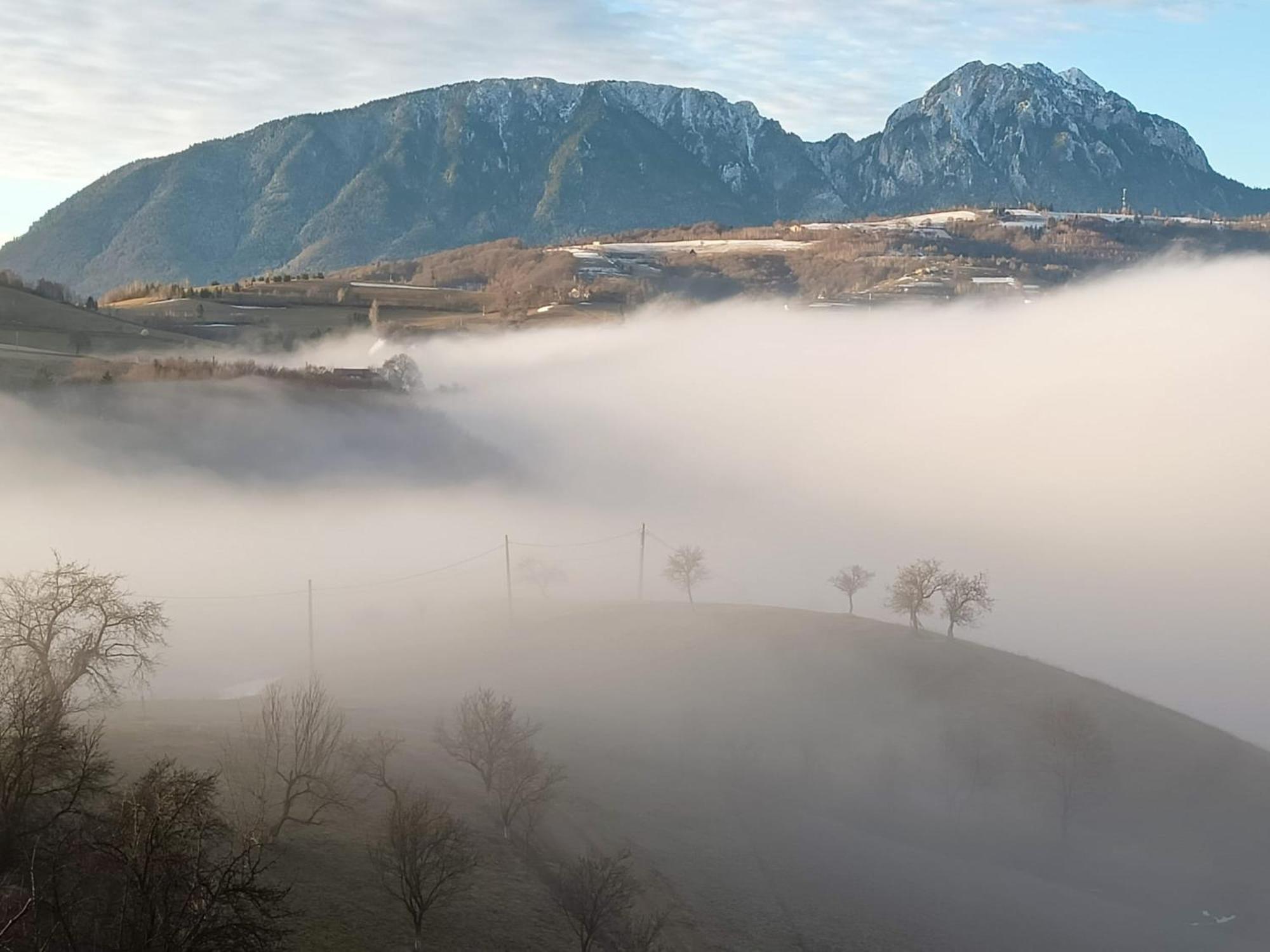 Vila Casa Din Livada, Poiana Marului, Brasov Exteriér fotografie